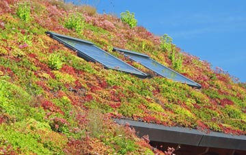 Gozzards Ford living roof systems