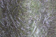 Gozzards Ford fibreglass roof work